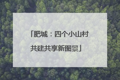 肥城：四个小山村共建共享新图景